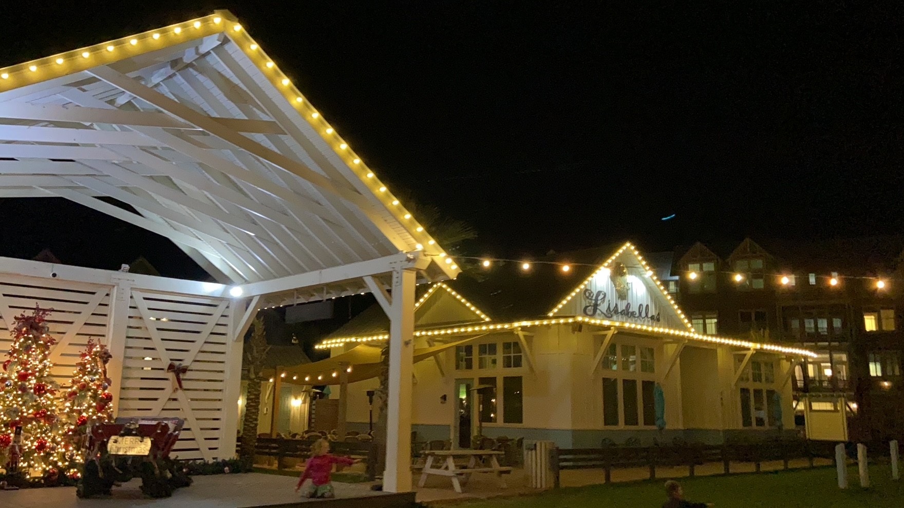 Big and Bright Texas Lights installation