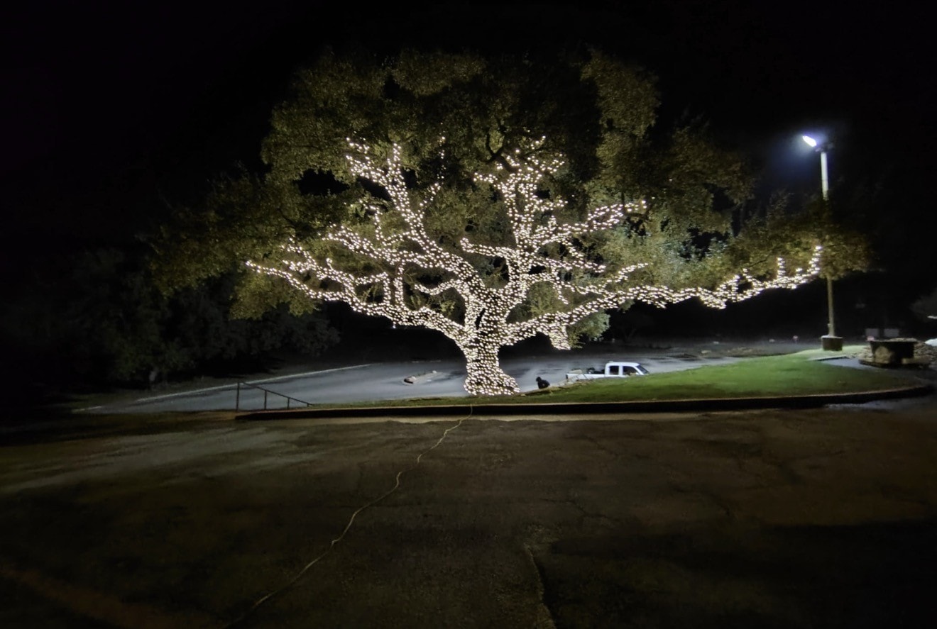 Holiday tree lighting installation