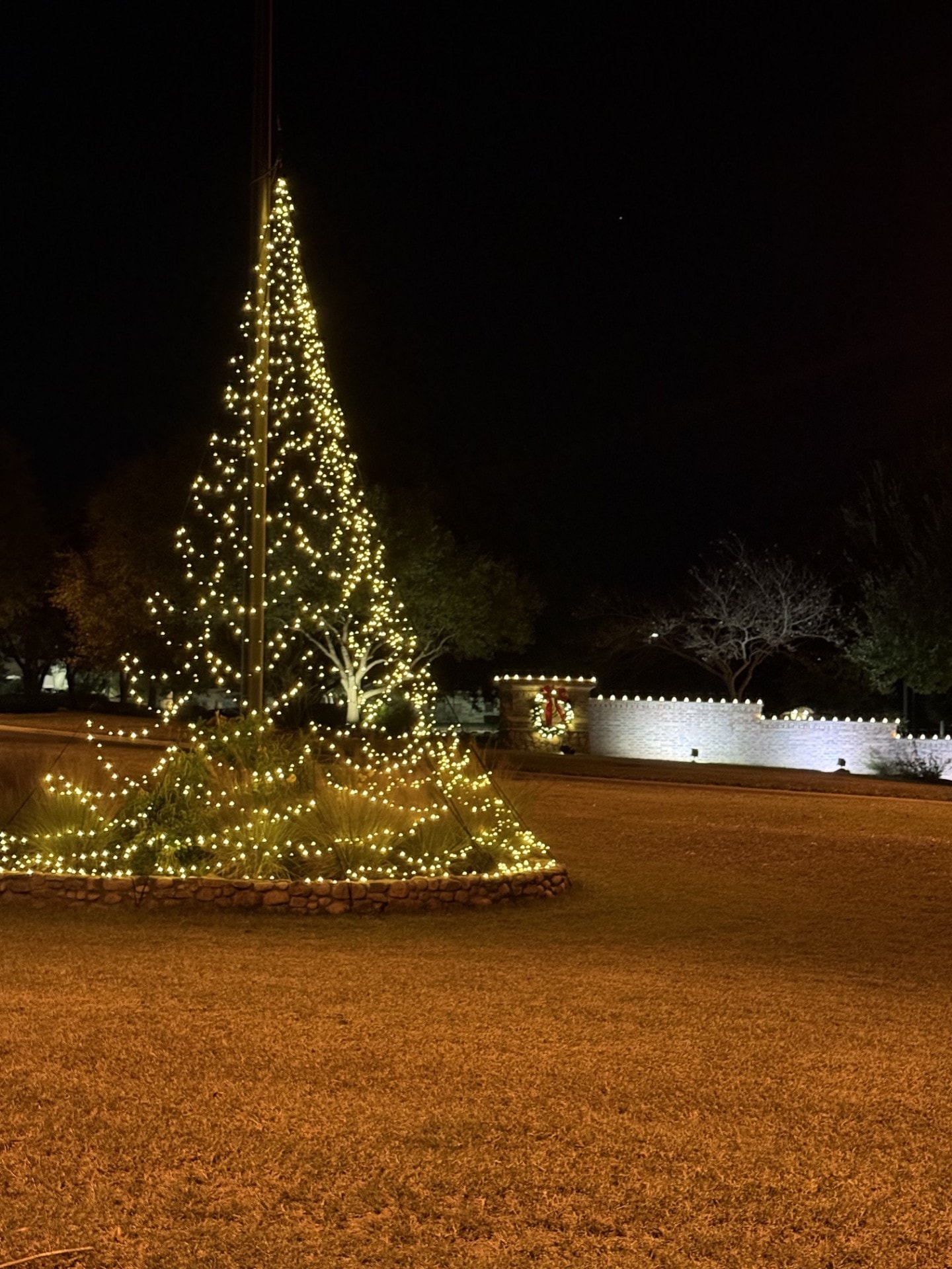 Professional holiday lighting at night