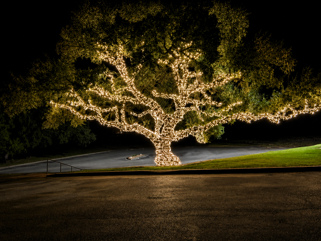 Golf Course and Restaurant Lighting holiday lighting